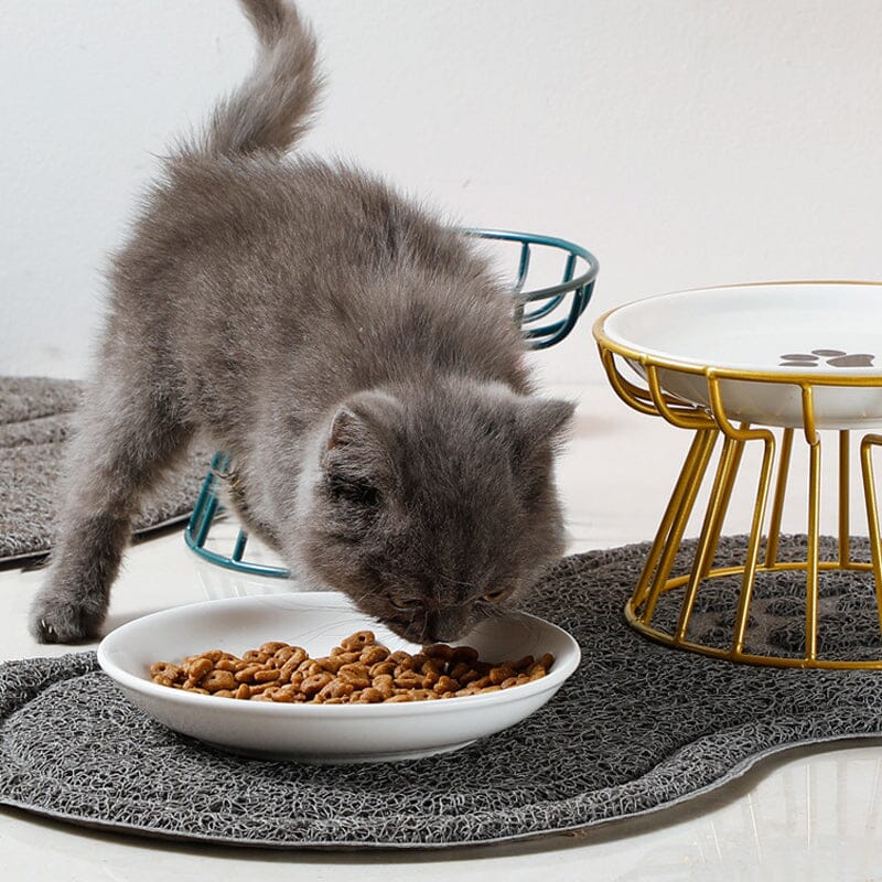 Whisker-Friendly Anti-Vomit Cat Plate