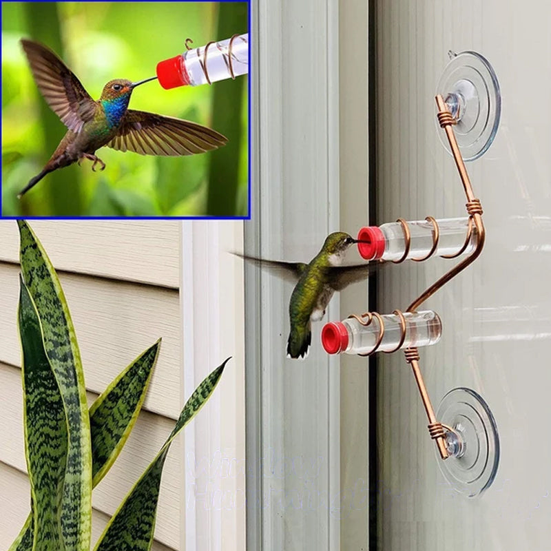 Window Hummingbird Feeder
