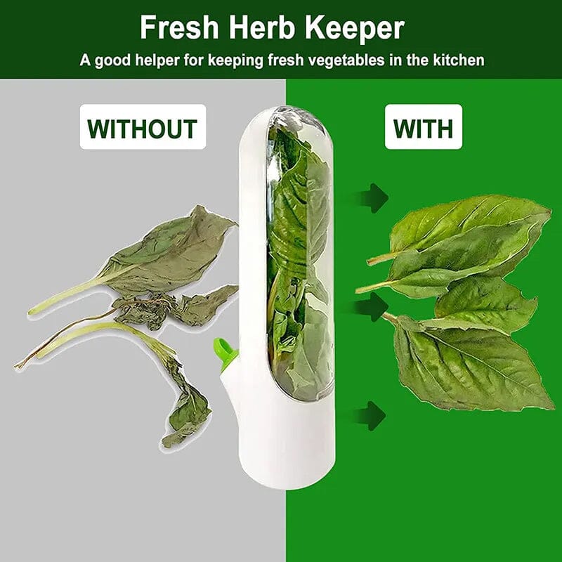 Herb Fresh Saver