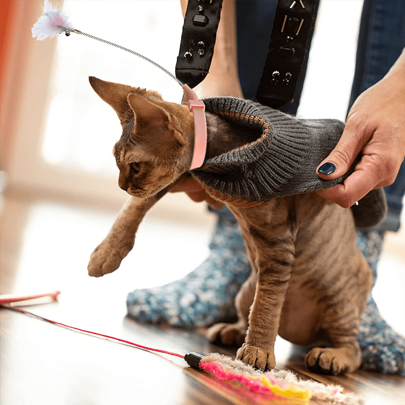 Interactive Funny Cat Toys