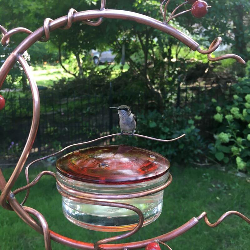 Pre-Sale>>Red Berries Hummingbird Feeder