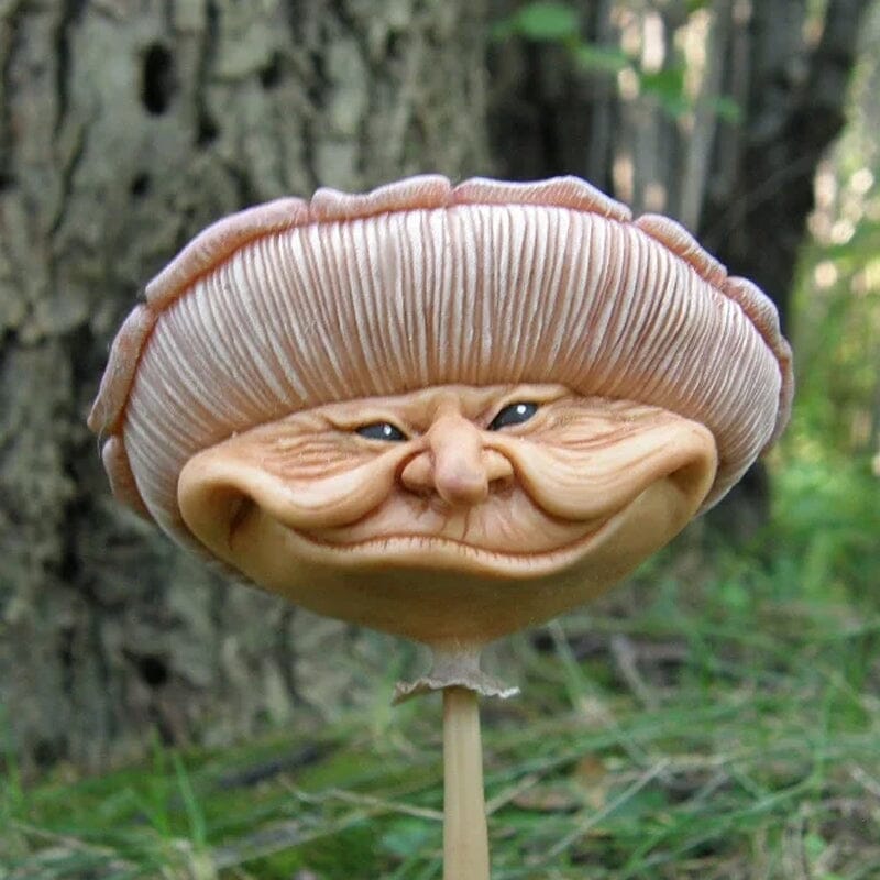 Funny Face Mushroom Garden Statue