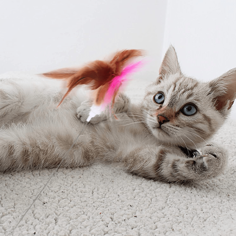 Interactive Funny Cat Toys