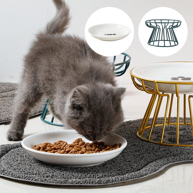 Whisker-Friendly Anti-Vomit Cat Plate